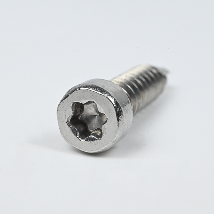 Tornillo autoperforante Torx con cabeza ahuecada SUS304 con arandela EPDM M6-1.81*25